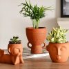 Terracotta Plant Pot