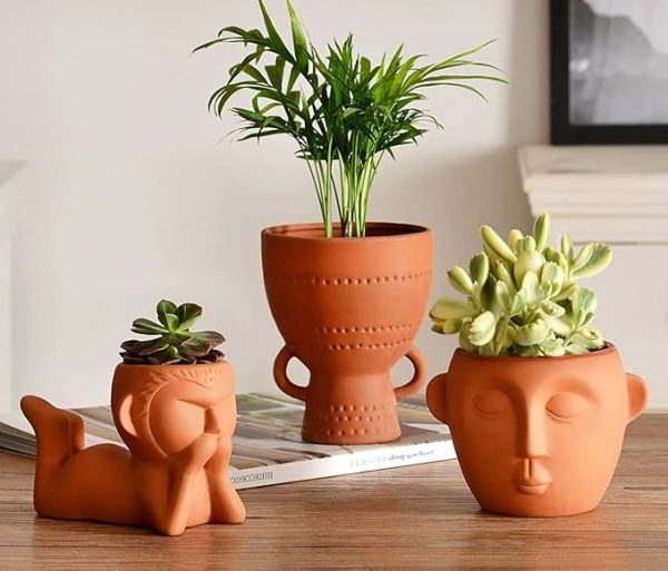 Terracotta Plant Pot