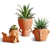 Terracotta Plant Pot