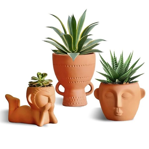 Terracotta Plant Pot