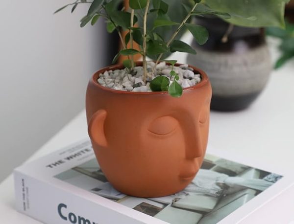 Terracotta Plant Pot