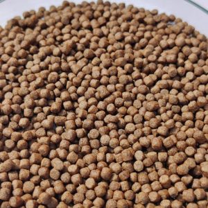 Floating Fish Feed Pellets