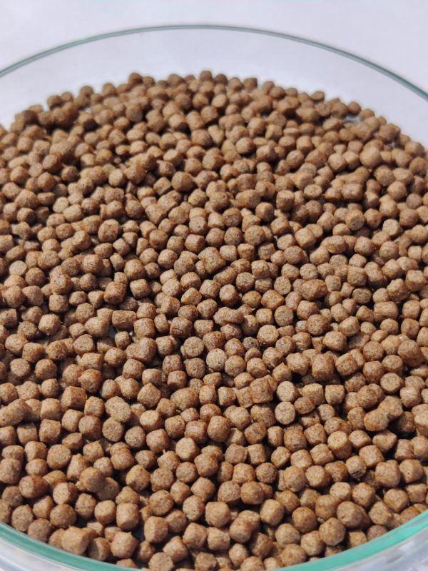 Floating Fish Feed Pellets