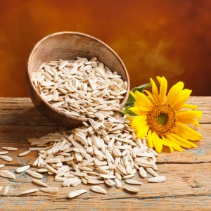 Sunflowerseed3